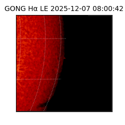 gong - 2025-12-07T08:00:42