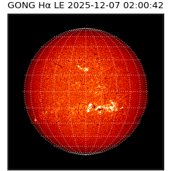 gong - 2025-12-07T02:00:42
