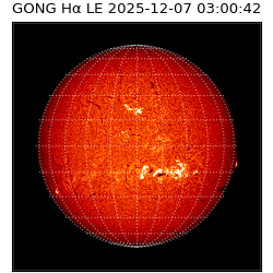 gong - 2025-12-07T03:00:42