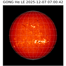 gong - 2025-12-07T07:00:42