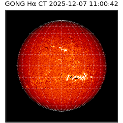 gong - 2025-12-07T11:00:42