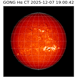 gong - 2025-12-07T19:00:42