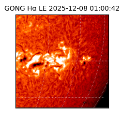 gong - 2025-12-08T01:00:42