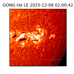 gong - 2025-12-08T02:00:42