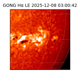 gong - 2025-12-08T03:00:42