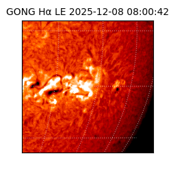 gong - 2025-12-08T08:00:42