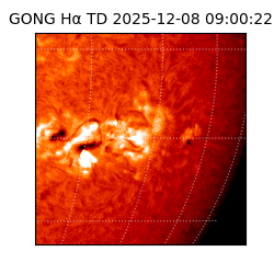 gong - 2025-12-08T09:00:22