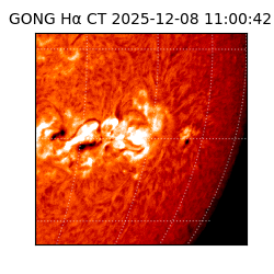 gong - 2025-12-08T11:00:42