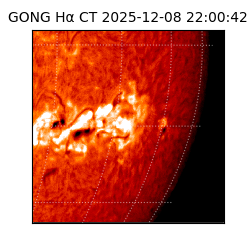gong - 2025-12-08T22:00:42