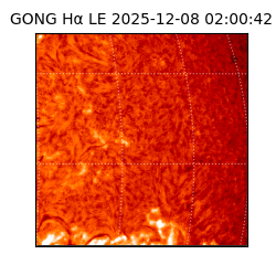 gong - 2025-12-08T02:00:42