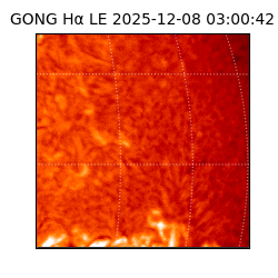 gong - 2025-12-08T03:00:42