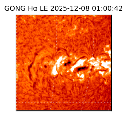 gong - 2025-12-08T01:00:42