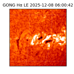 gong - 2025-12-08T06:00:42