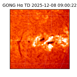 gong - 2025-12-08T09:00:22