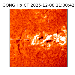 gong - 2025-12-08T11:00:42