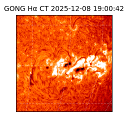 gong - 2025-12-08T19:00:42