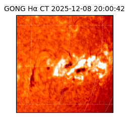 gong - 2025-12-08T20:00:42