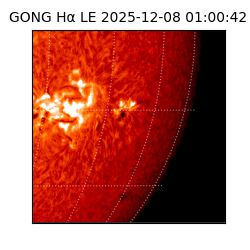 gong - 2025-12-08T01:00:42