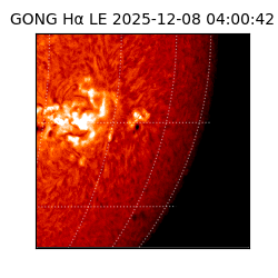 gong - 2025-12-08T04:00:42