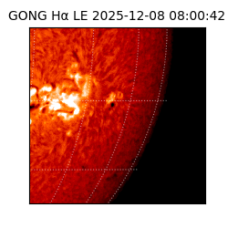gong - 2025-12-08T08:00:42