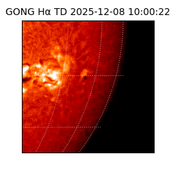 gong - 2025-12-08T10:00:22