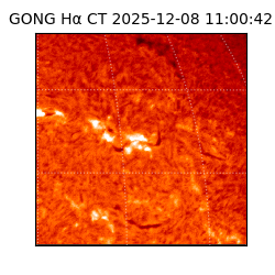 gong - 2025-12-08T11:00:42