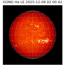 gong - 2025-12-08T02:00:42