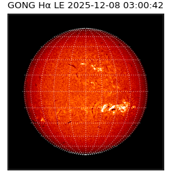 gong - 2025-12-08T03:00:42