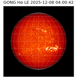 gong - 2025-12-08T04:00:42