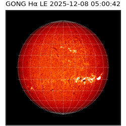 gong - 2025-12-08T05:00:42