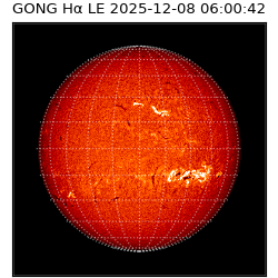 gong - 2025-12-08T06:00:42