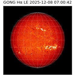 gong - 2025-12-08T07:00:42