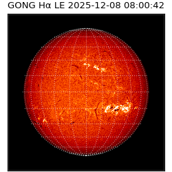 gong - 2025-12-08T08:00:42