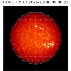 gong - 2025-12-08T09:00:22
