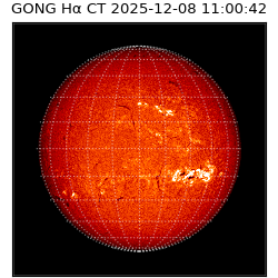 gong - 2025-12-08T11:00:42