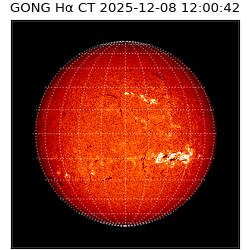 gong - 2025-12-08T12:00:42