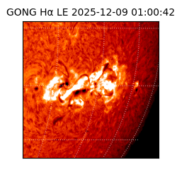 gong - 2025-12-09T01:00:42