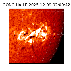 gong - 2025-12-09T02:00:42