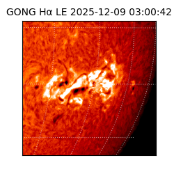gong - 2025-12-09T03:00:42