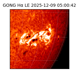 gong - 2025-12-09T05:00:42