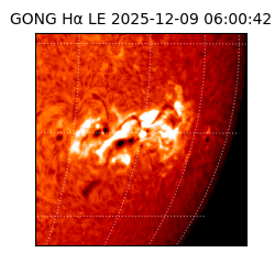 gong - 2025-12-09T06:00:42