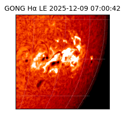 gong - 2025-12-09T07:00:42