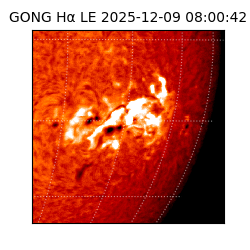 gong - 2025-12-09T08:00:42