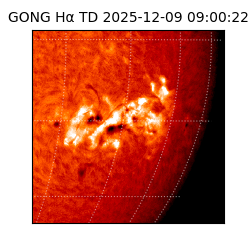 gong - 2025-12-09T09:00:22
