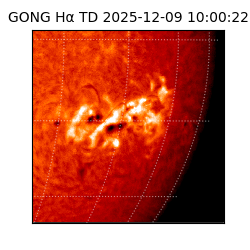 gong - 2025-12-09T10:00:22