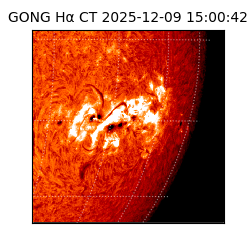 gong - 2025-12-09T15:00:42