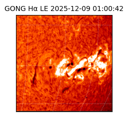 gong - 2025-12-09T01:00:42