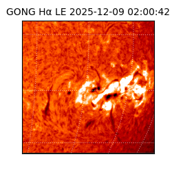 gong - 2025-12-09T02:00:42