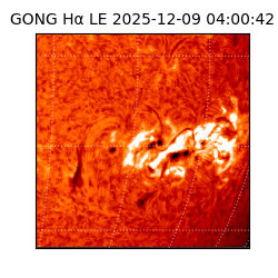 gong - 2025-12-09T04:00:42