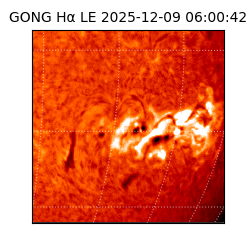 gong - 2025-12-09T06:00:42